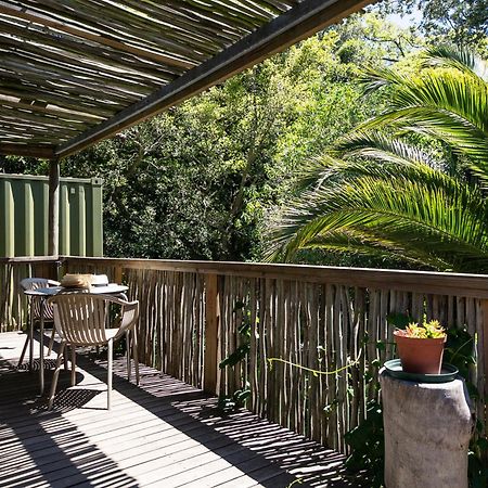 كيب تاون Camps Bay Forest Pods المظهر الخارجي الصورة