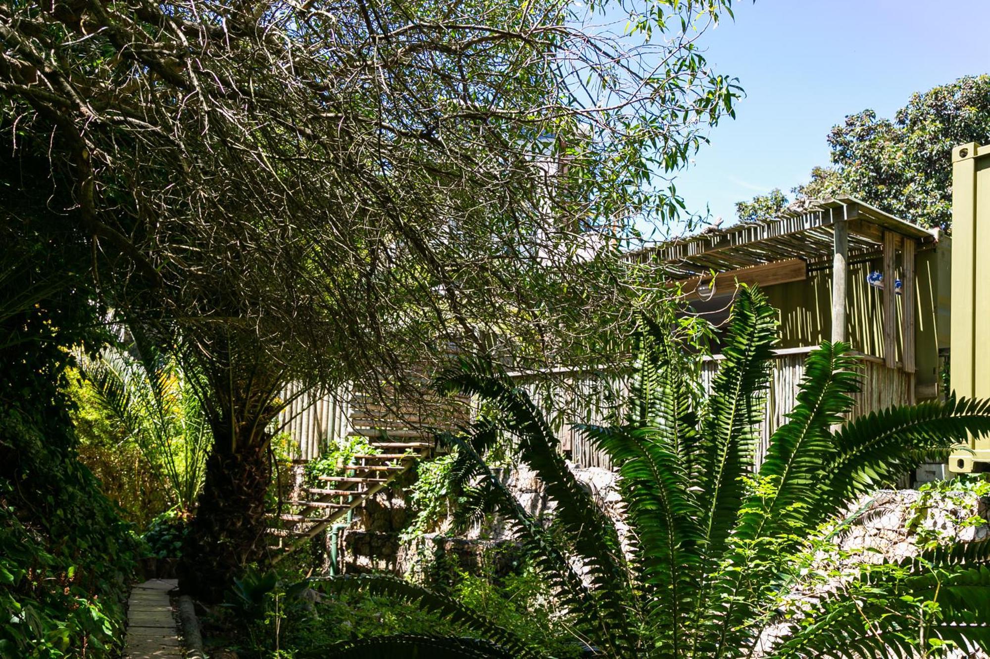 كيب تاون Camps Bay Forest Pods المظهر الخارجي الصورة
